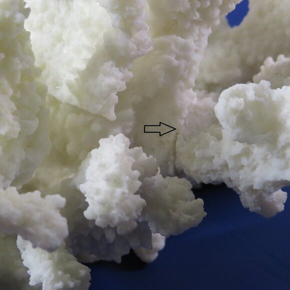 Faux Coral (very realistic) White 5" tall 9x7" wide over 1lb has a repaired arm - Picture 12 of 12